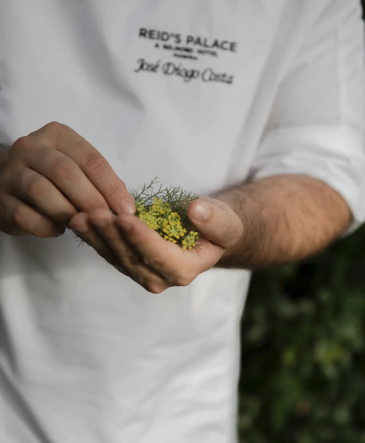 Belmond · William Restaurant Reimagined | Reid's Palace, A Belmond Hotel, Madeira