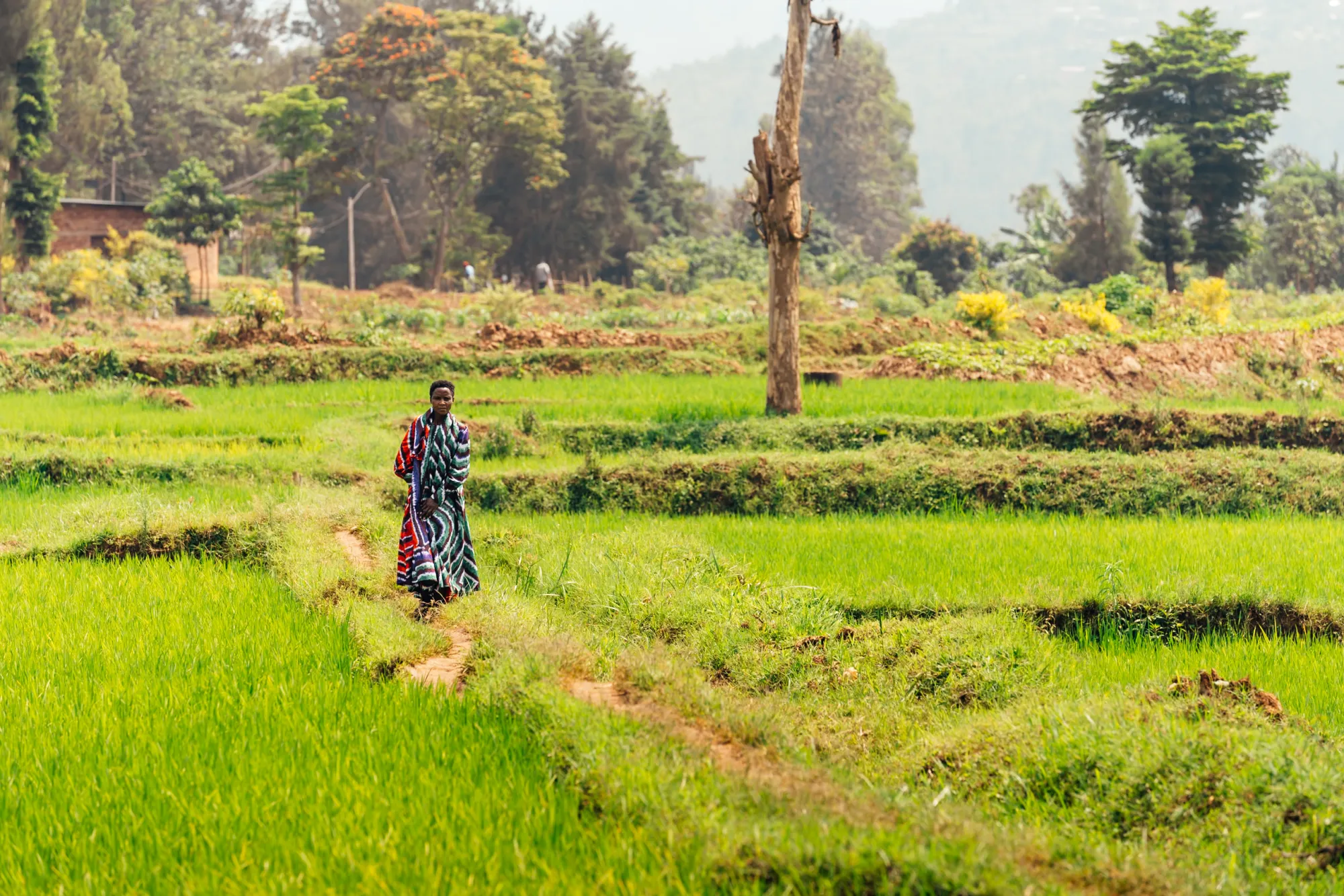 InFiNe Luxembourg — Inclusive Finance, Human Stories · Rwanda, Kenya & India