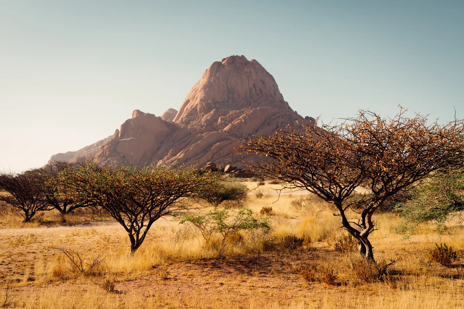 Wildlife - Namibia